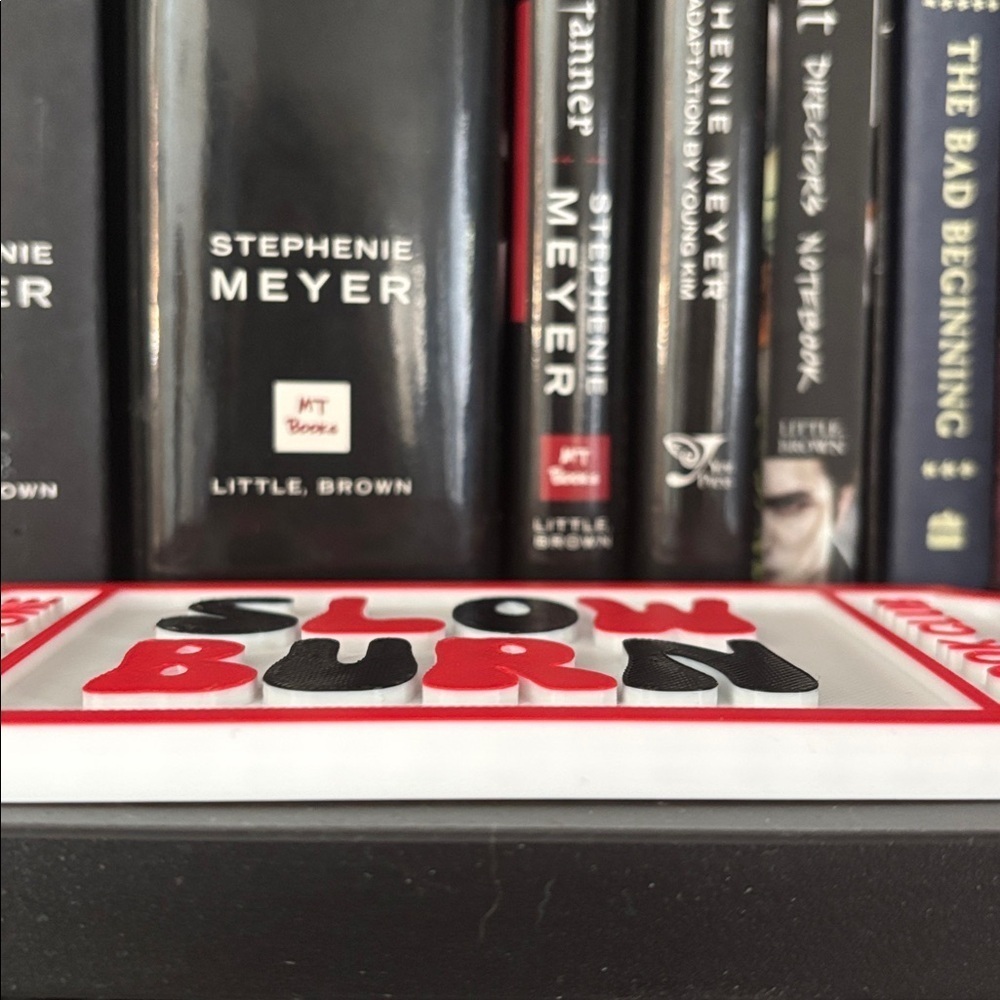 Slow Burn Book Club Ticket Shelf Decor 🎟️🔥💞 - Picture 2 of 2